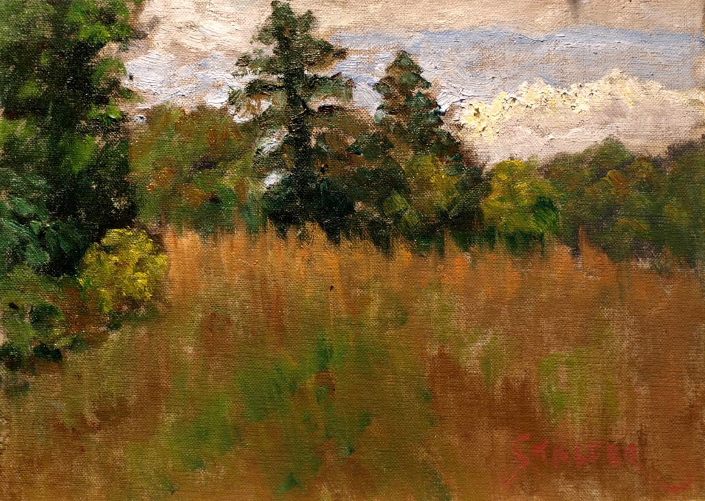 Upland Meadow, Oil on Canvas on Panel, 9 x 12 Inches, by Richard Stalter, $225