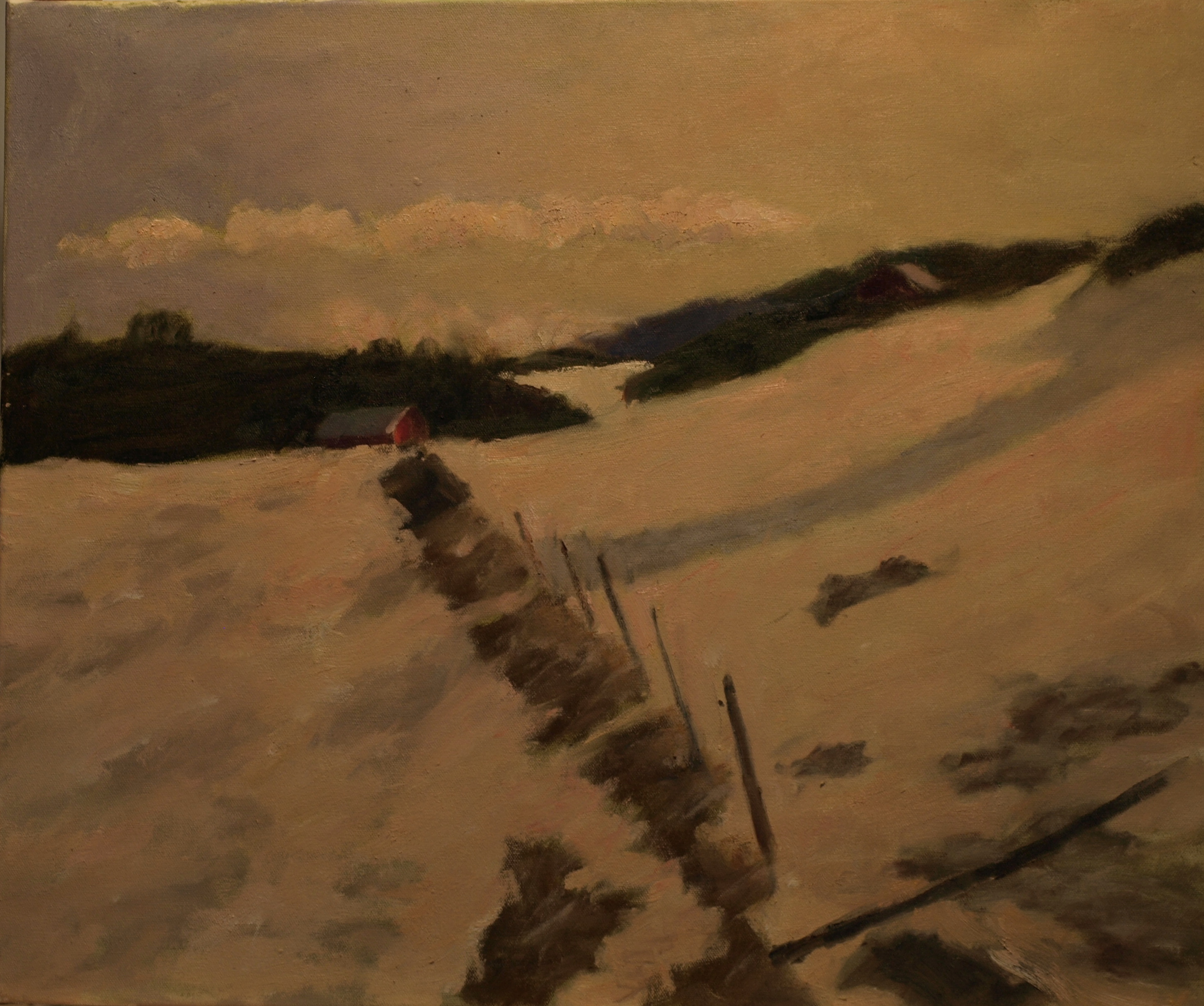 Old Fence Row - Snow, Oil on Canvas, 20 x 24 Inches, by Richard Stalter, $700