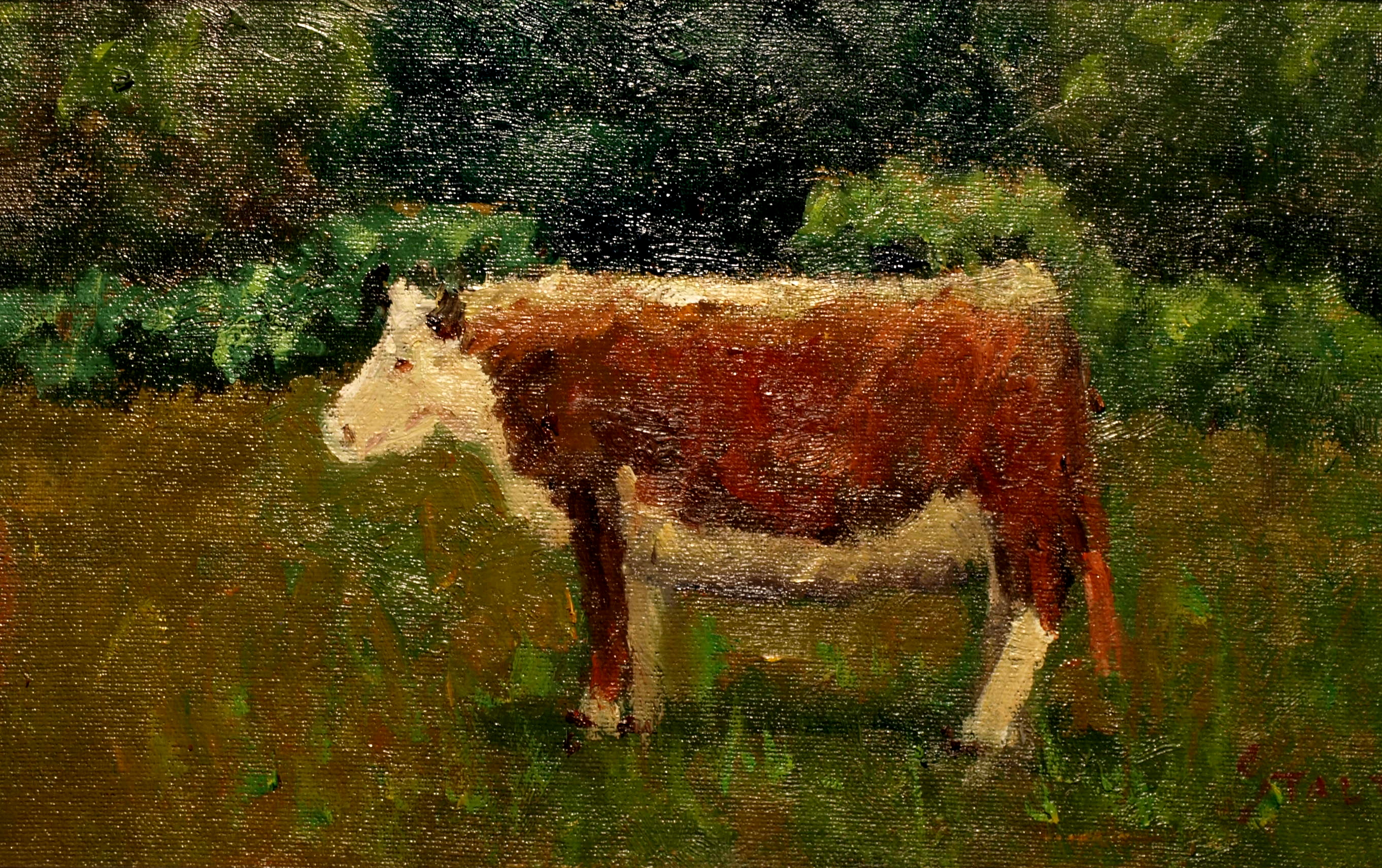 White Faced Cow, Oil on Canvas on Panel, 8 x 14 Inches, by Richard Stalter, $225