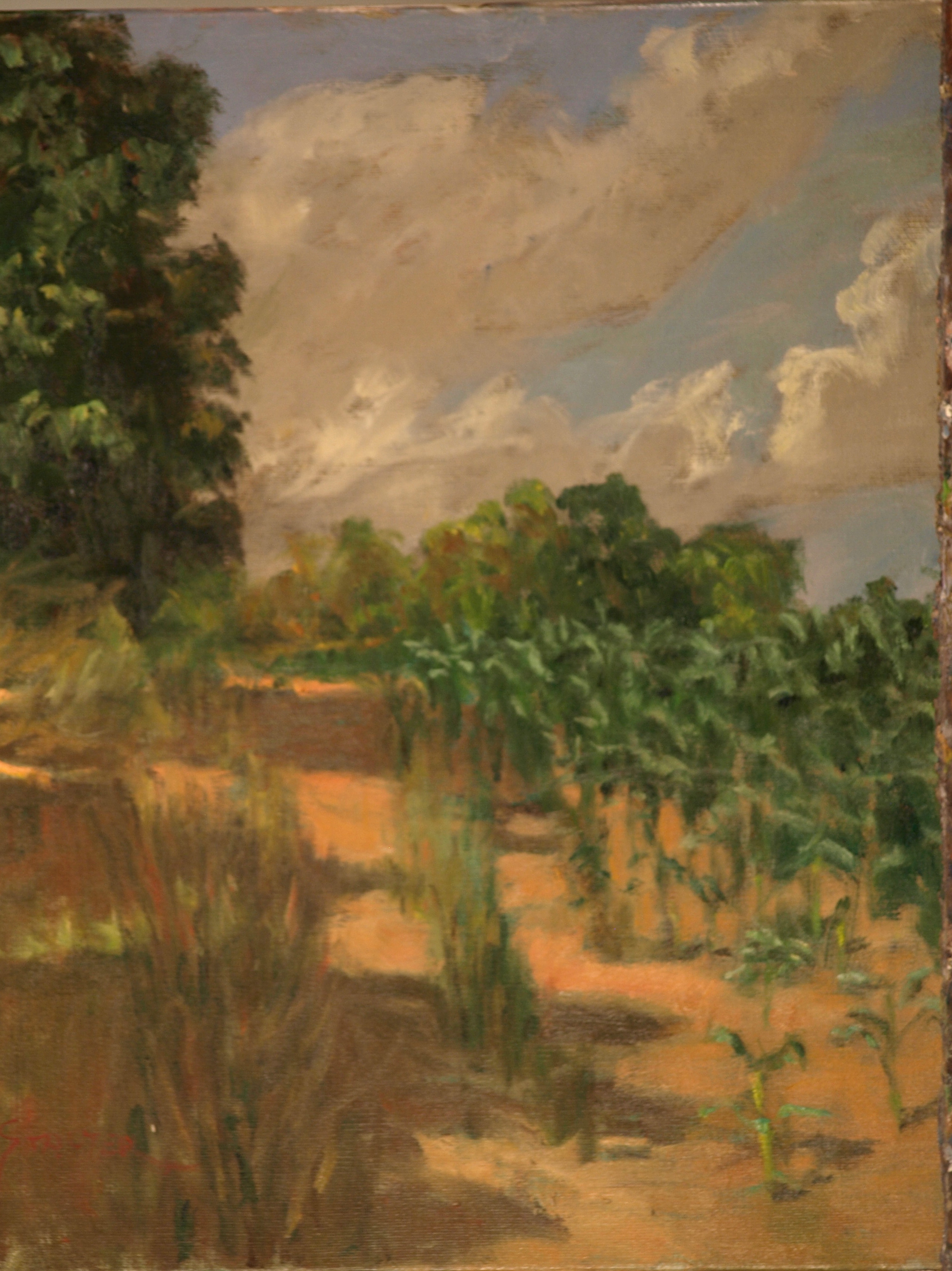 Edge of the Cornfield, Oil on Canvas, 20 x 16 Inches, by Richard Stalter, $450