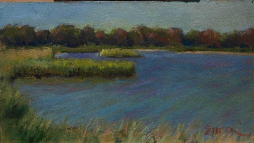 Palmer Pond, Oil on Canvas on Panel, 8 x 14 Inches, by Richard Stalter, $225