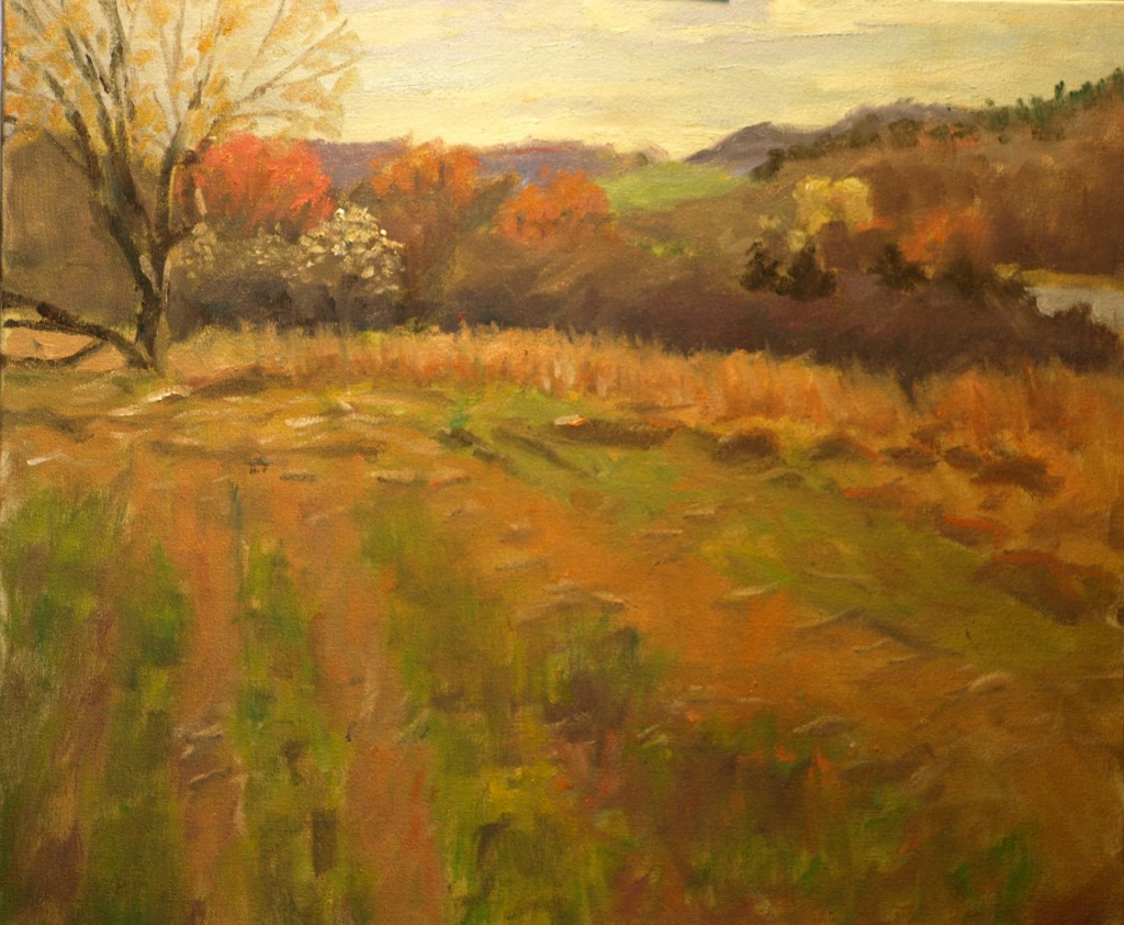 The Marsh Meadow - Spring, Oil on Canvas, 20 x 24 Inches, by Richard Stalter, $850